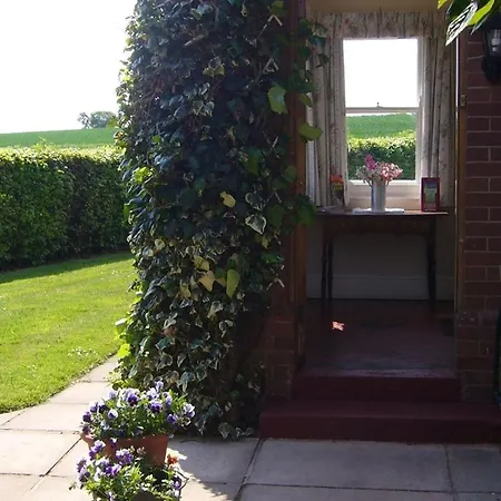Mill Farm-2